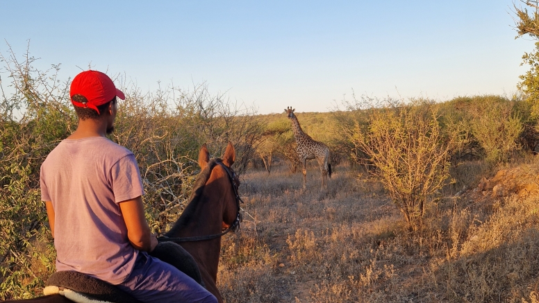 1 Hour Horseback Trail Safari Hoedspruit image 3