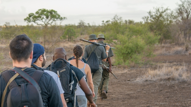 Bush Walk in the Kruger National Park image 1