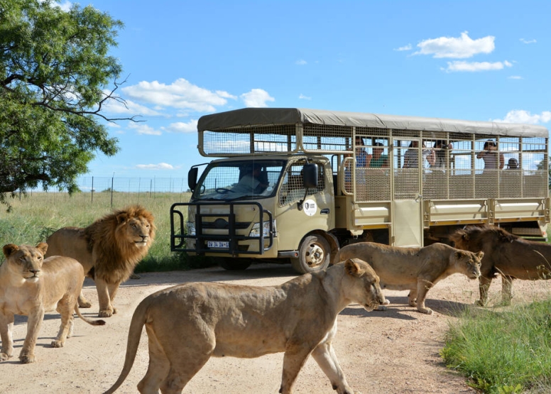 Predator Tour - Lion & Safari Park image 1