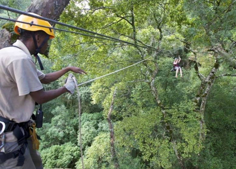 Drakensberg Canopy Tour image 6