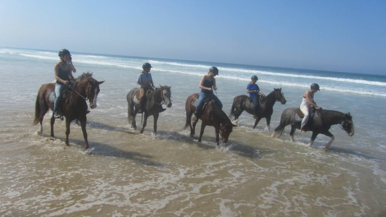 Beach Horse Trail Beginners image 3