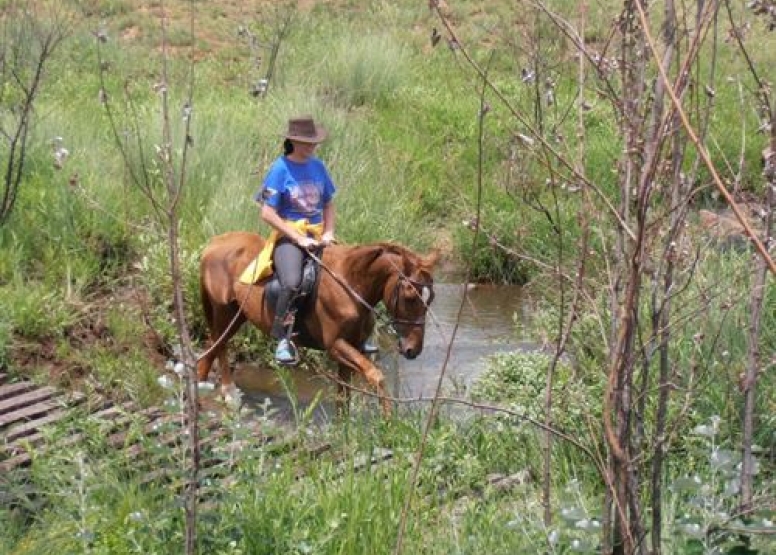 Horseback Riding at Cullinan image 2