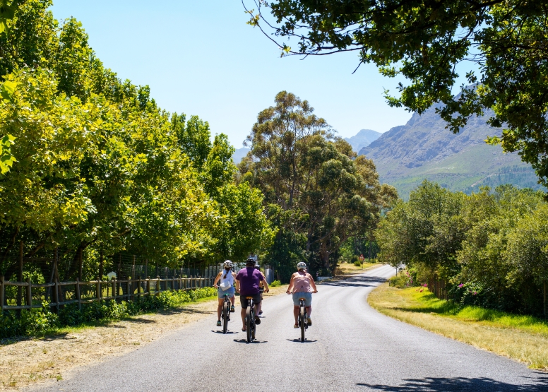 Franschhoek Half Day Winelands EBike Tour image 4