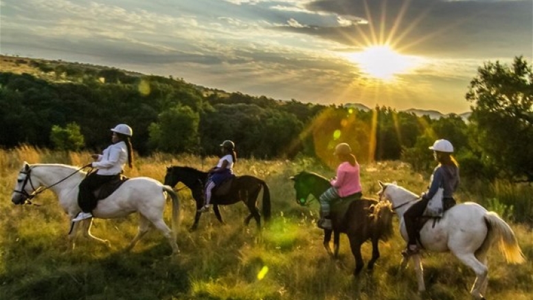 2 Hour Sunrise Safari Horse Ride Harties image 1