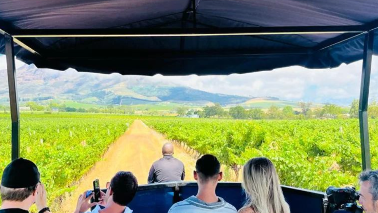 Stellenbosch Wine Tractor Hop On Hop Off Experience image 4