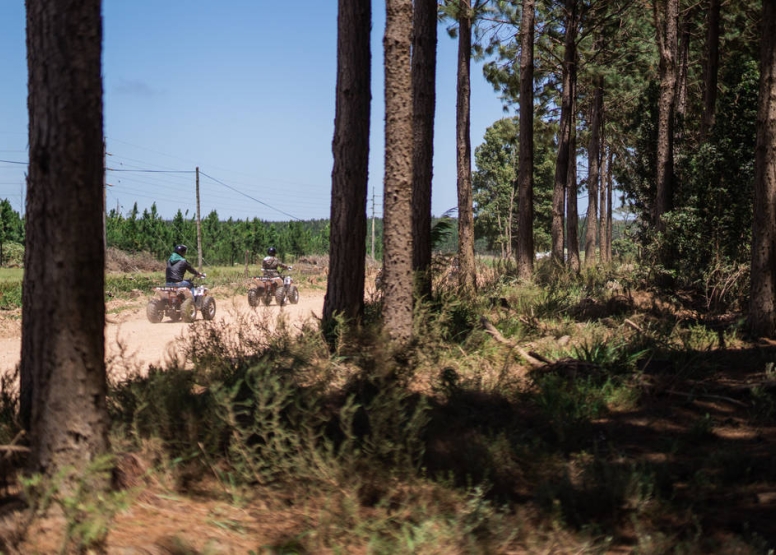 1 Hour Quad Bike Tour Tsitsikamma National Park image 6