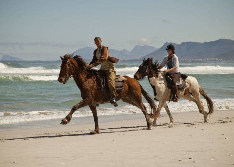 Beach Horse Ride - Gansbaai image 1