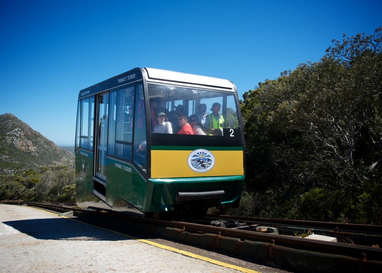 Cape Point Funicular - One Way Ticket - Down image 10