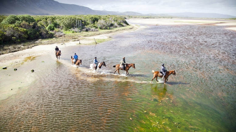 Beach Horse Ride - Gansbaai image 4