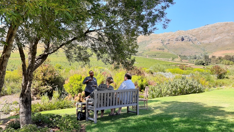 Private Winelands Tour image 1