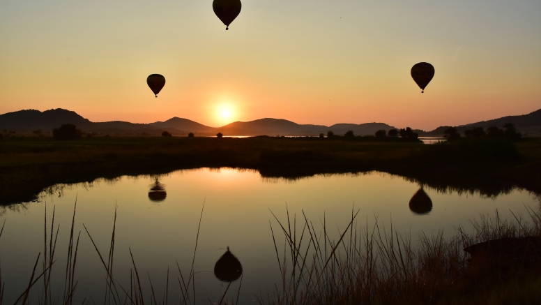 Pilanesberg Hot Air Balloon Safari image 5