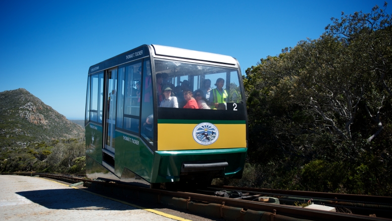 Cape Point Funicular - One Way Ticket - Down image 10