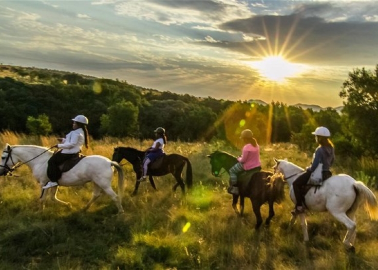 1 Hour Sunrise Safari Horse Ride Harties image 1