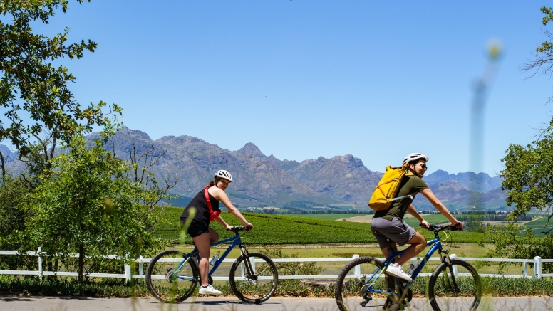 Stellenbosch Half Day Winelands Cycle Tour image 4