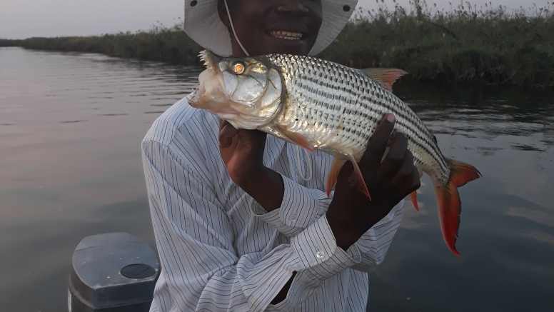 Tiger Fishing- Komati River, Mpumalanga-Half day image 10