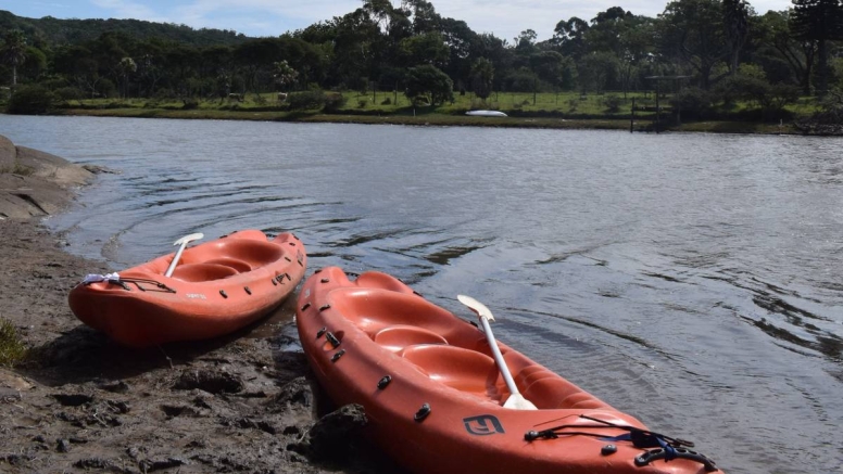 Full Day River Kayak or Canoe Rental image 7