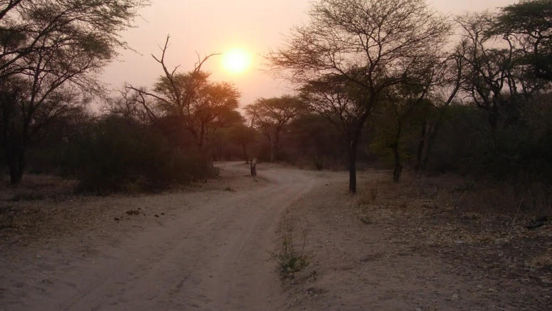 LION SAFARI PACKAGE 3D/2N image 5