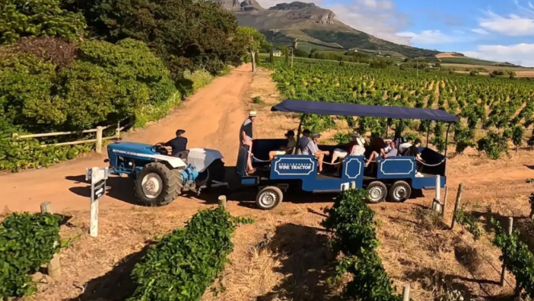 Stellenbosch Wine Tractor Hop On Hop Off Experience image 2