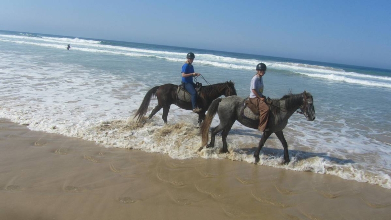 Beach Horse Trail Intermediate image 3