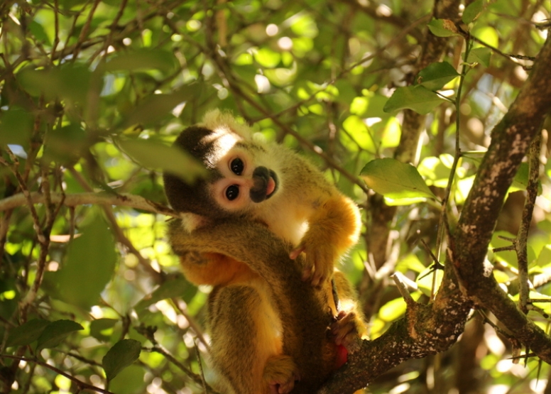 The Hidden Forest Wildlife Sanctuary image 3 The Hidden Forest Wildlife Sanctuary image 3
