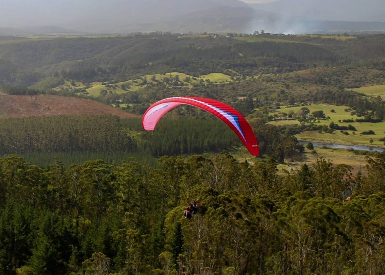 Tandem Paragliding Experience image 6