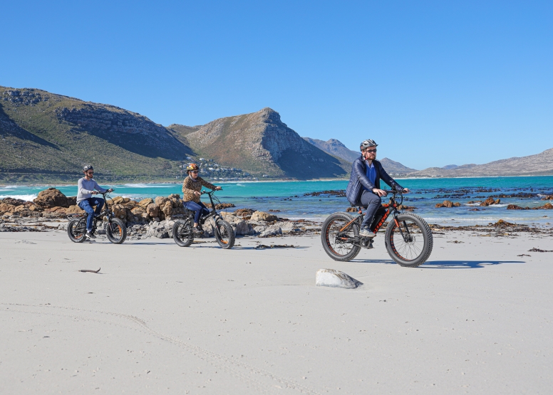 Electric Bike Cape Peninsula Tour image 4