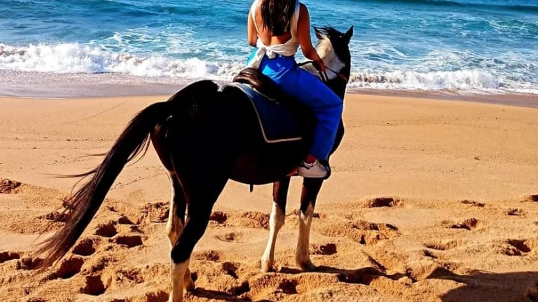 30 Minute Beach Horse Ride Ballito image 3