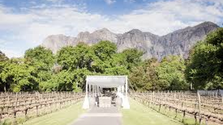 Winelands Wedding Location image 3
