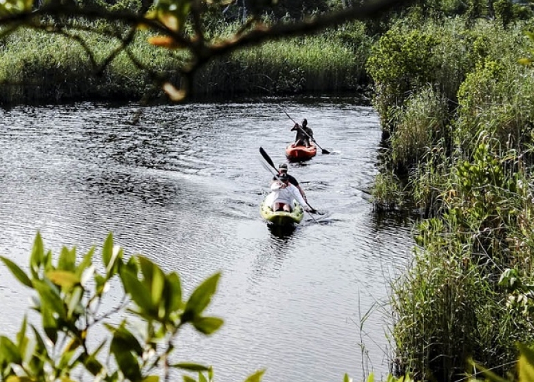 2 Hour Kosi Bay Kayaking Adventure - Morning image 1