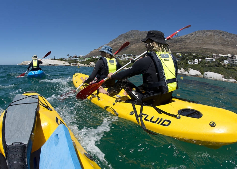Penguin Kayak Paddle image 5