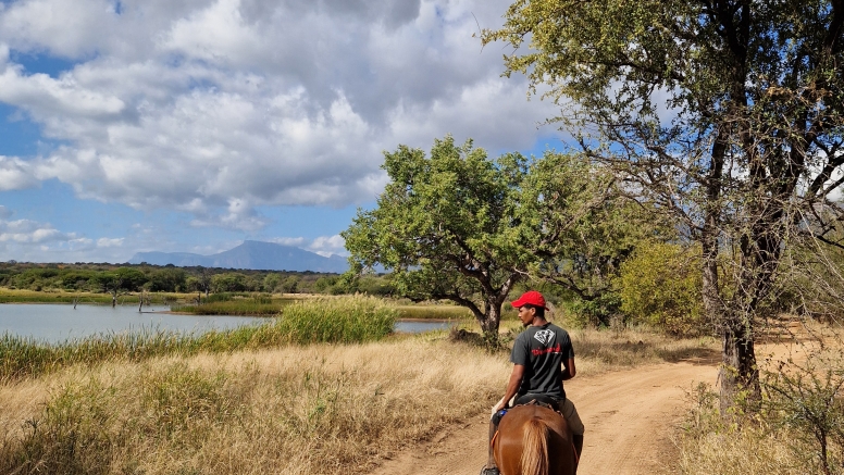 1 Hour Horseback Trail Safari Hoedspruit image 7