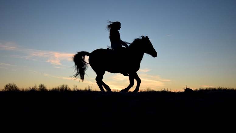 Horseback Riding at Cullinan image 8