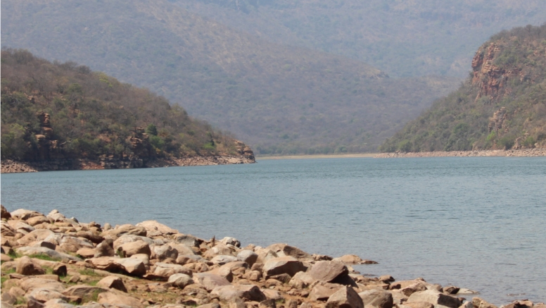 BLyde River Canyon and Moholoholo Wildlife Rehab Centre - 1 Day image 4