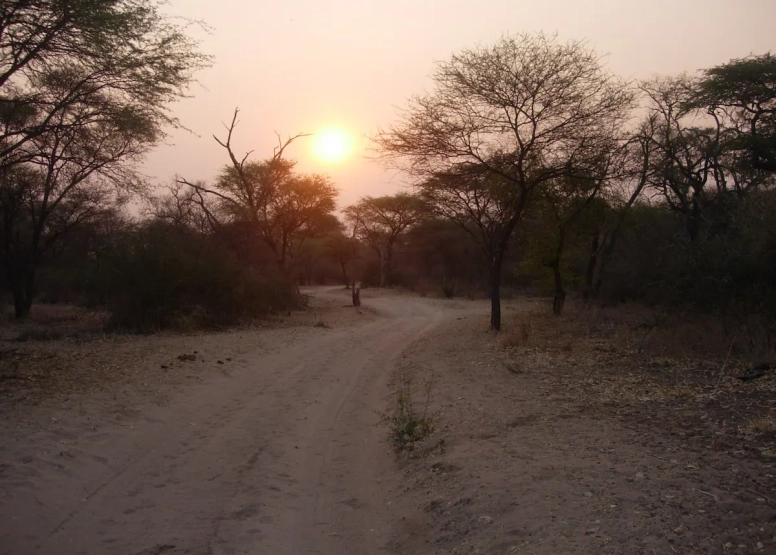 LION SAFARI PACKAGE 3D/2N image 5