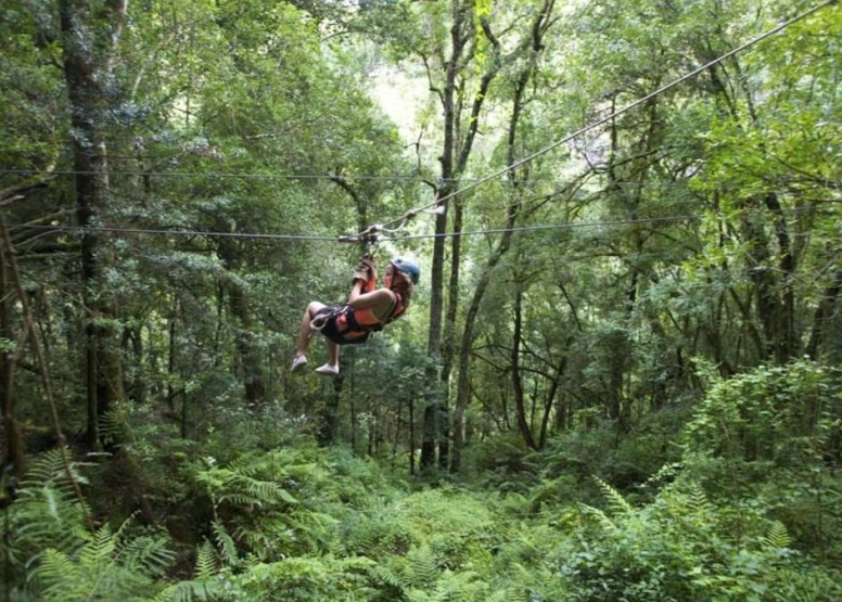 Drakensberg Canopy Tour image 8