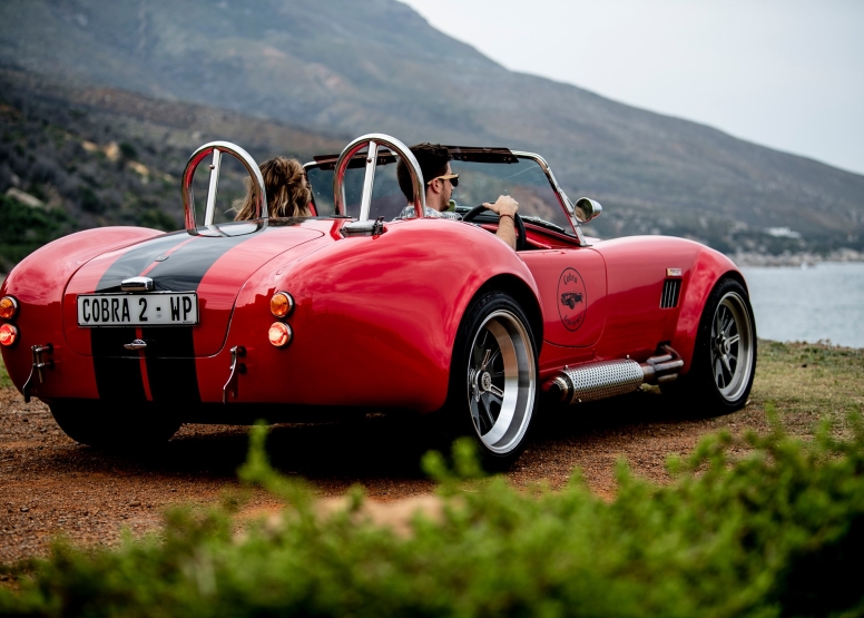Sunset Cobra Experience - Red With Black Stripes image 1