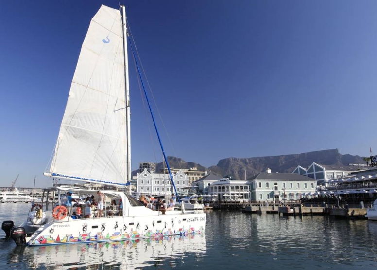 Abseil and Boat Cruise Adventure Combo Cape Town image 5