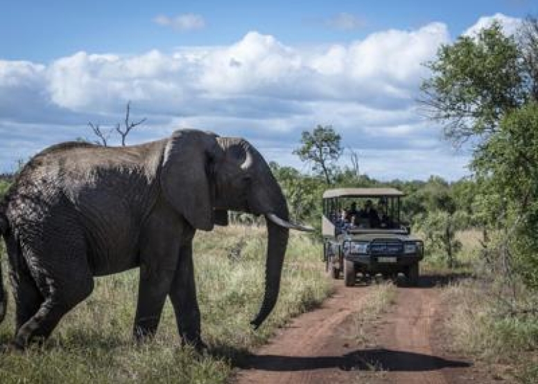 LION SAFARI PACKAGE 3D/2N image 4