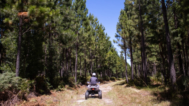 1 Hour Quad Bike Tour Tsitsikamma National Park image 2