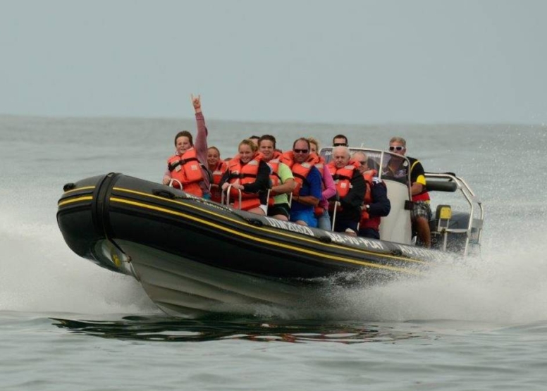 The Big Kahuna Speedboat Tour image 1