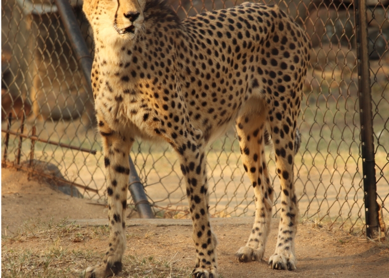 BLyde River Canyon and Moholoholo Wildlife Rehab Centre - 1 Day image 11