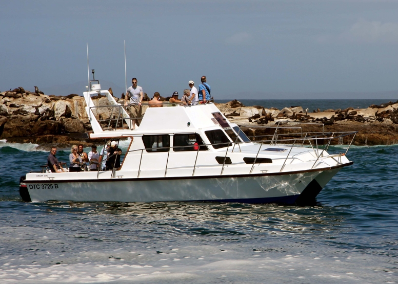 Seal Island Cruise image 9