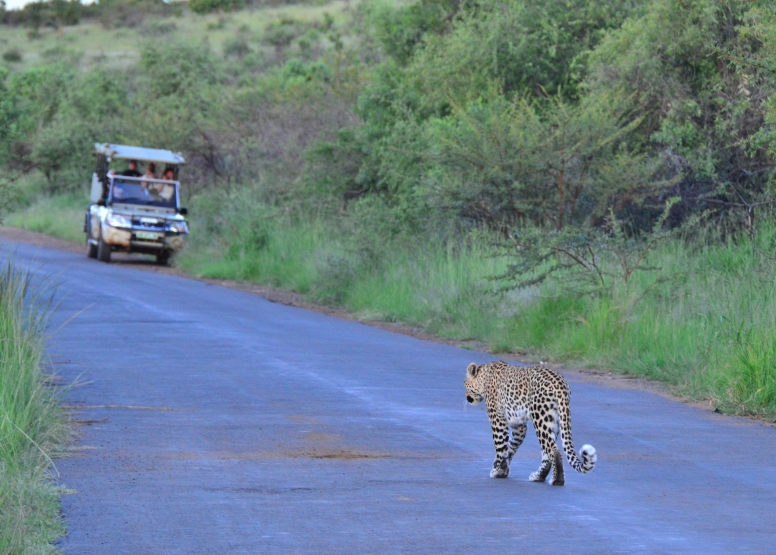Game Drive Bakubung Gate SA Residents image 1