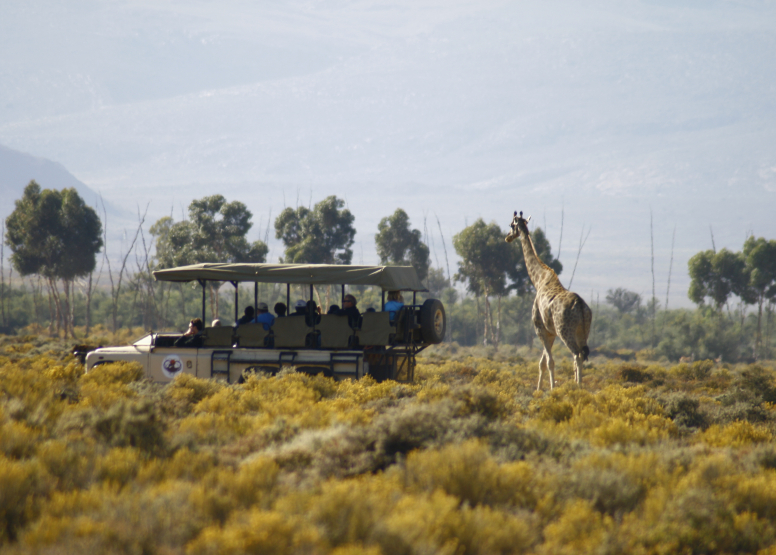 One Day Safari at Inverdoorn Safari Lodge & Game Reserve, activity in