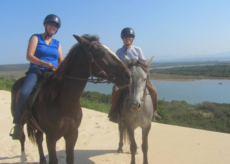 Beach Horse Trail Beginners image 5