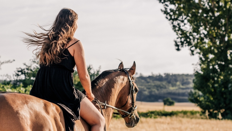 Horseback Riding at Cullinan image 1