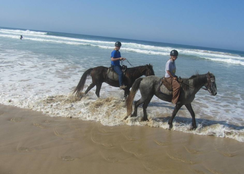 Beach Horse Trail Beginners image 1