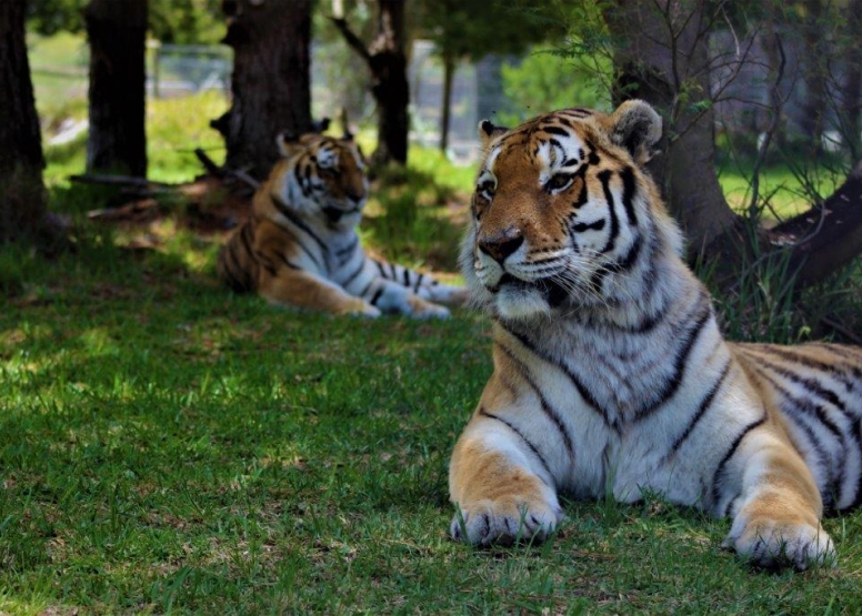 Jukani Wildlife Sanctuary image 4