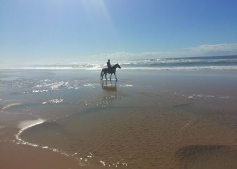 Full Day Beach Horse Ride image 6