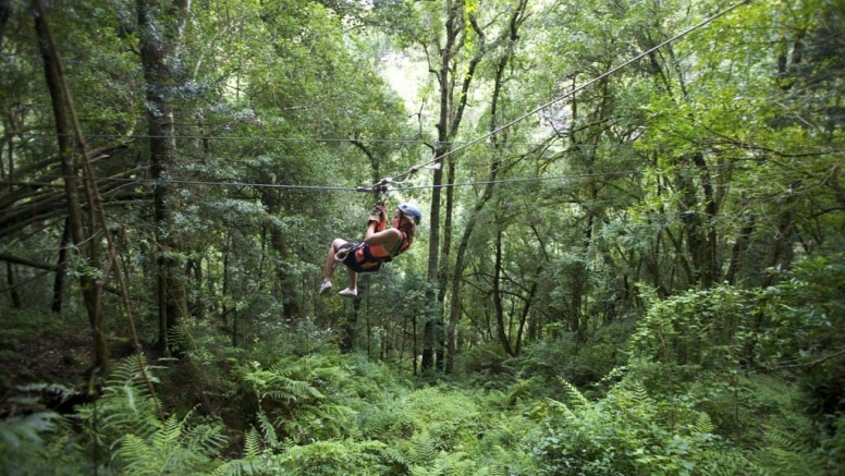 Drakensberg Canopy Tour image 5